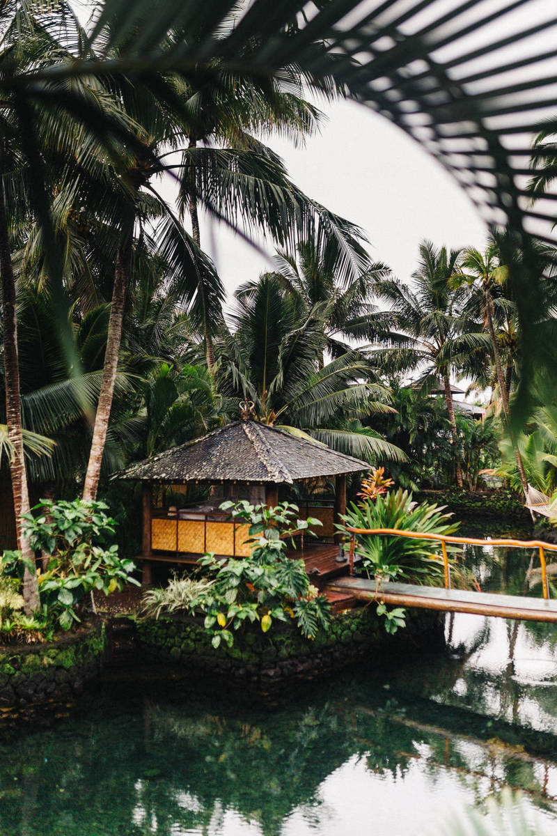 Women Living In More Walkable Neighborhoods Have Lower Rates of Some Cancers